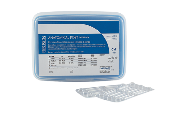 Picture of Anatomical Post / S - 60 pcs